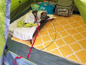 My two enjoying the tent.