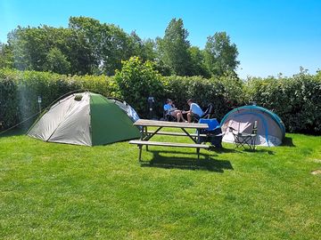 Standard camping pitch