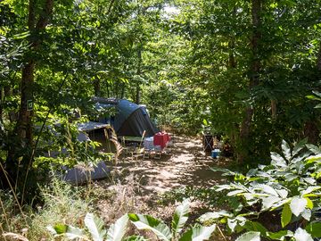 Peaceful pitches in the woods
