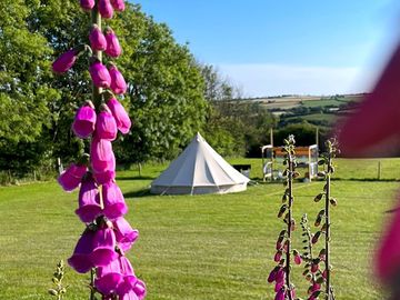 Bell tent