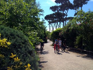 Bike path