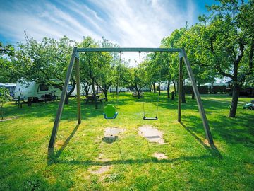 Swings in the orchard