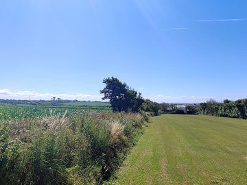 Grassy pitches