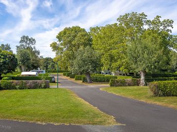 Grass pitches