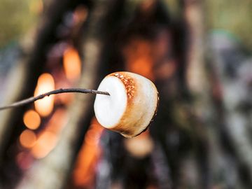 Campfire