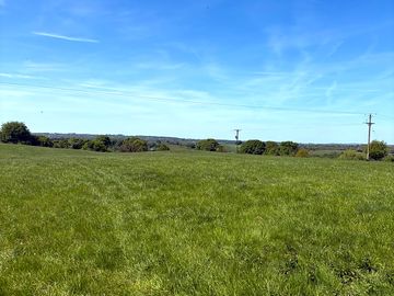 Open camping space