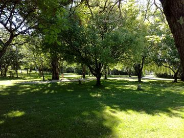 Spacious and shaded pitches