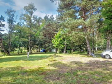Pitches shaded by trees