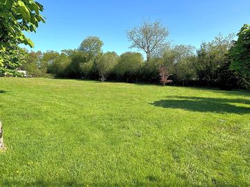 Top field