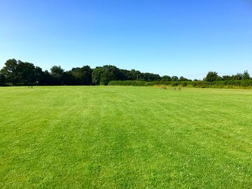 Grassy camping area