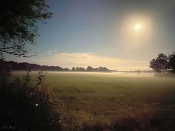 Evening on site