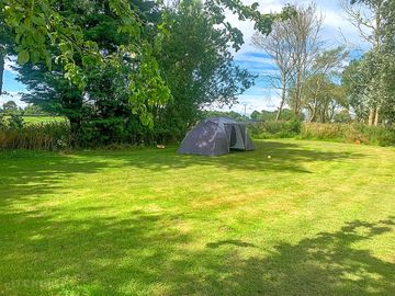 Quiet pitches tucked under trees