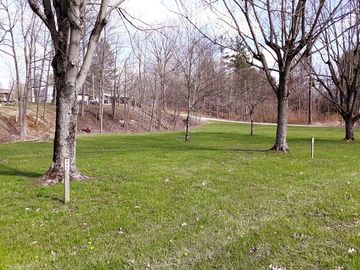 Grassy tent site