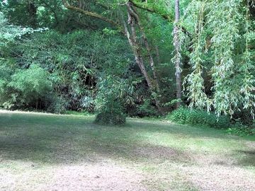 Shaded pitch