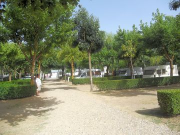 Camping
