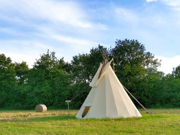 Grass pitches sheltered by trees