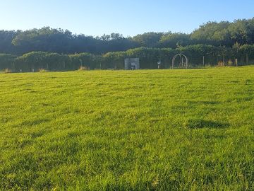 Field views