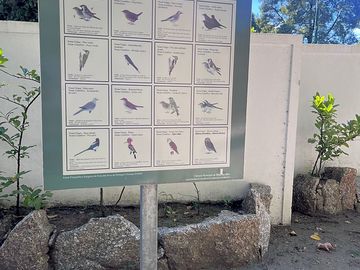 Animals of the local fauna