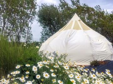 Bell tent surrounded by ornamental grasses and wild flowers