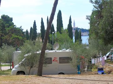Wooded site