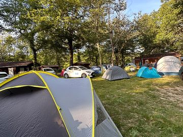 Tent pitches shaded by trees