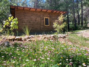 Springtime at sens