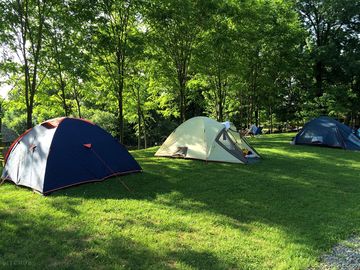 Tents under the trees