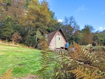 Nith wigwam set on a tree lined bank.