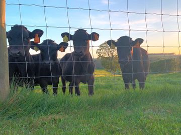 Set on a woking farm