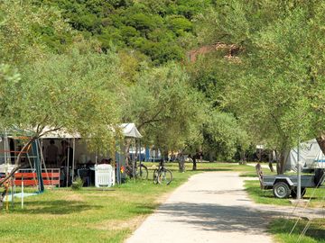 Tree-shaded site