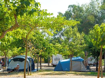 Lots of shade under the trees