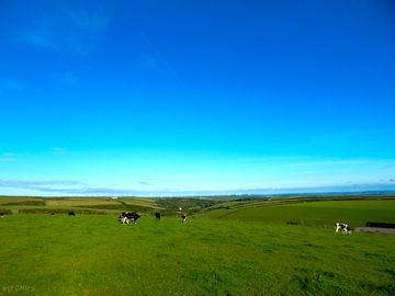 Rural view