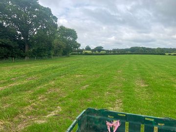 Grass pitches sheltered by trees