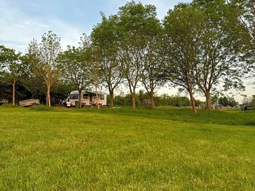 Grass pitches sheltered by trees