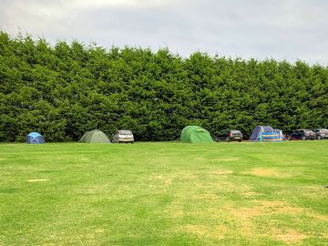 Grass pitches