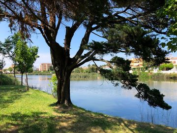 Sit in the shade beside the lake