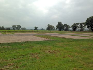 The pitches