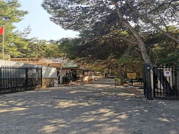 Entrance to the site