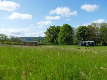 Grassy spaces