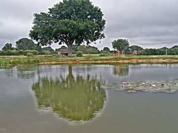View of one of the lakes
