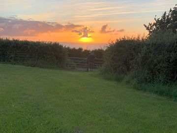 Sunset at the site