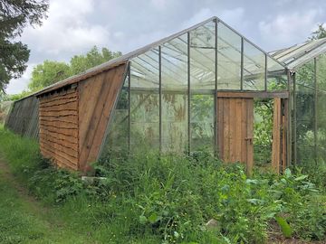 The glasshouses
