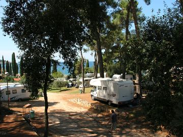 Around the site