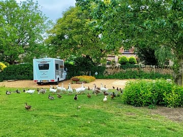 View of motorhome pitch with local wildlife