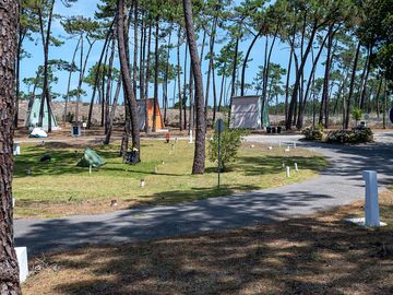 Camping area