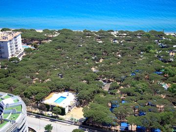 Aerial view of the site