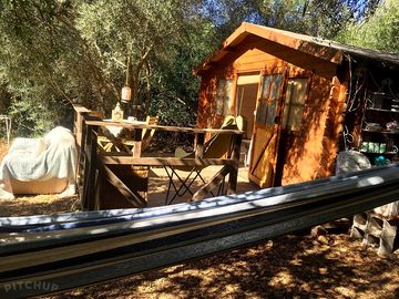 The cabin under a bit olive tree.