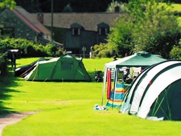 Grass pitches