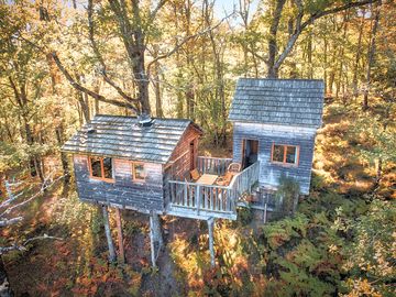 Treehouses surrounded by foliage