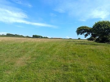 Field view